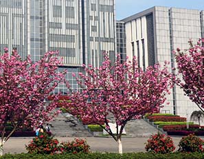 黃山學院消防主機集中校內(nèi)網(wǎng)管理平臺定制版